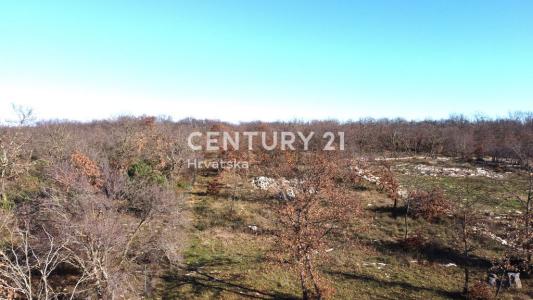 Zadar, Murvica Gornja, Zadar, Zadarska Županija, Croatia