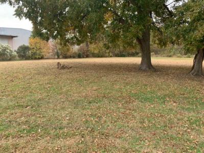 Tbd Church Street W., Ahoskie, צפון קרוליינה 27910, ארצות הברית של אמריקה 