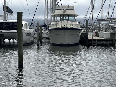 518 Water Street, B4, Oriental, NC 28571, USA