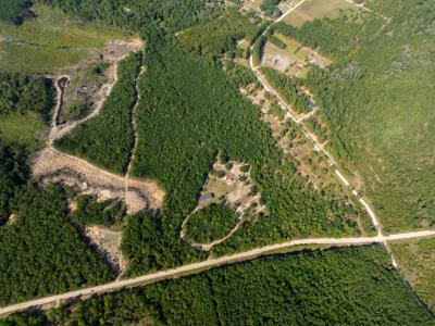 1087 MW Stroud Rd., Nichols, ساوث كارولينا 29581, الولايات المتحدة