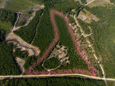 1087 MW Stroud Rd., Nichols, ساوث كارولينا 29581, الولايات المتحدة