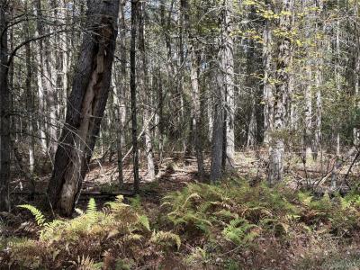 17 Lot 17 Desmond Crossing, Bethel, NY 12720, USA