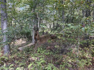 17 Lot 17 Desmond Crossing, Bethel, 纽约州 12720, 美国