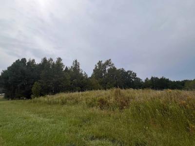 137 Days Landing Road, Merritt, צפון קרוליינה 28556, ארצות הברית של אמריקה 