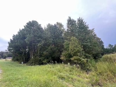 137 Days Landing Road, Merritt, צפון קרוליינה 28556, ארצות הברית של אמריקה 