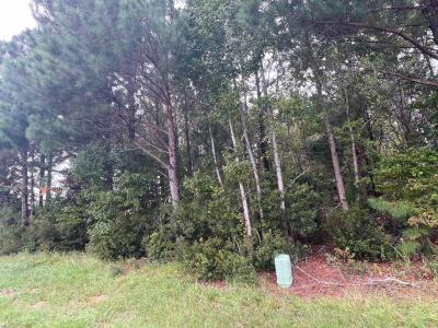 137 Days Landing Road, Merritt, צפון קרוליינה 28556, ארצות הברית של אמריקה 