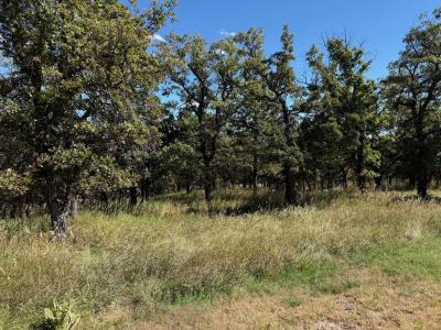 TBD Ridgefield Loop, Spearfish, 南达科他州 57783, 美国