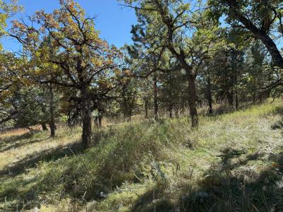 TBD Ridgefield Loop, Spearfish, 南达科他州 57783, 美国