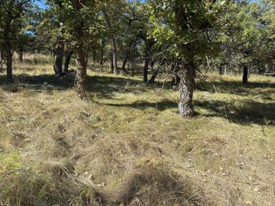 TBD Ridgefield Loop, Spearfish, 南达科他州 57783, 美国