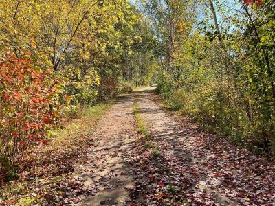 56694 Williams Lane, Sandstone, Minnesota 55072, USA