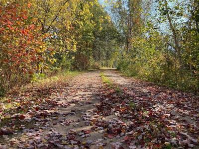 56694 Williams Lane, Sandstone, Minnesota 55072, Estados Unidos