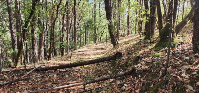 Pinecrest Drive, Grants Pass, Oregón 97526, Estados Unidos