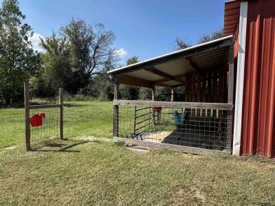 289 CR 3360, Cookville, Texas 75558, USA