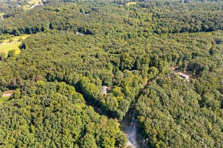 5 Tally Mountain Road N, Jasper, Georgia 30143, Stati Uniti