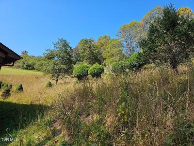 2056 Honey Camp Road, Clintwood, Virginie 24228, États-Unis