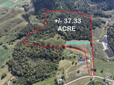 37.33 Ac Charlie Doty Road, Greeneville, 테네시 37745, 미국