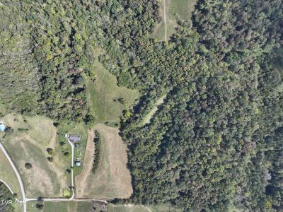 37.33 Ac Charlie Doty Road, Greeneville, Tennessee 37745, Estados Unidos