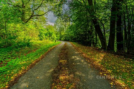 Vilémov, Havlíčkův Brod 58282, República Checa