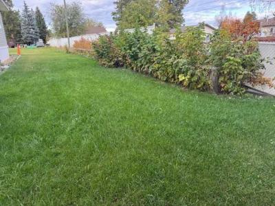 6620 5 AVENUE, Edson, Alberta T7E 1M4, Canada