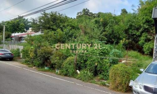 復興段, Wufeng Dist., Тайчжун 413, Тайвань