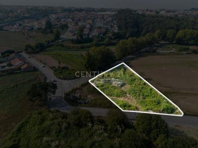 Matosinhos, Porto 4460-093, Portugal