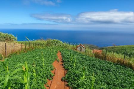 Porto Moniz, Madeira 9270-042, Portugal