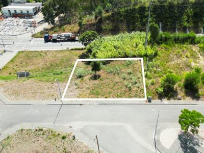 アヴェイロ, アヴェイロ 3810-732, ポルトガル