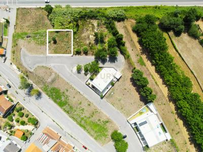 アヴェイロ, アヴェイロ 3810-732, ポルトガル