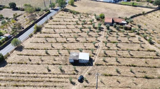 布朗库堡区, 布朗库堡区 6005-118, 葡萄牙