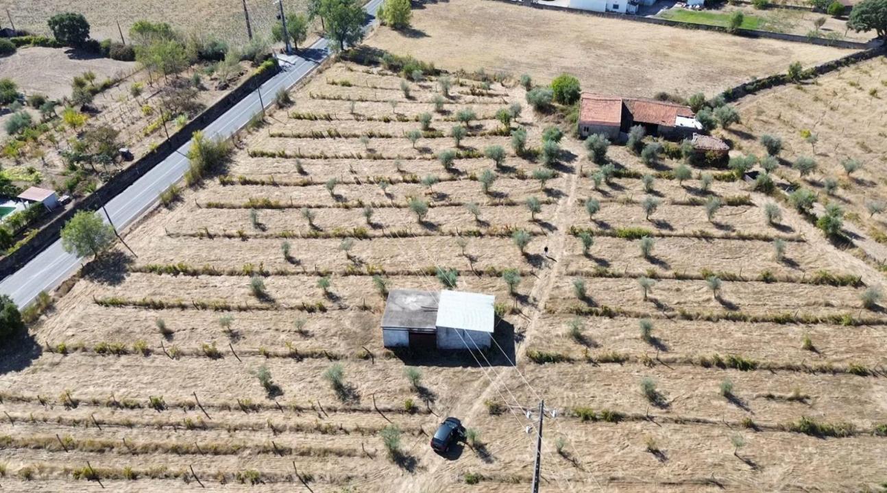 Castelo Branco, Castelo Branco 6005-118, Portekiz