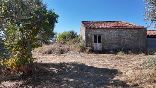 Castelo Branco, Castelo Branco 6005-118, Portekiz