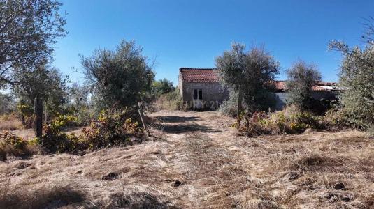 Castelo Branco, Castelo Branco 6005-118, Portekiz