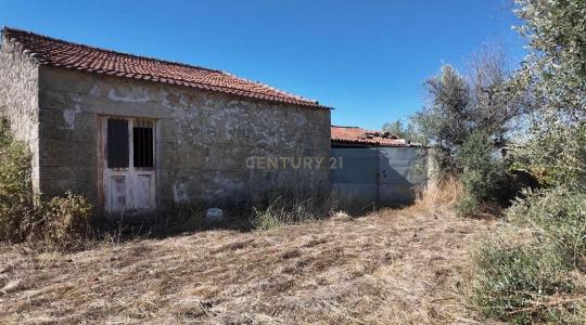 Castelo Branco, Castelo Branco 6005-118, Portekiz