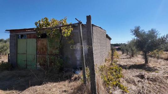 Castelo Branco, Castelo Branco 6005-118, Portekiz