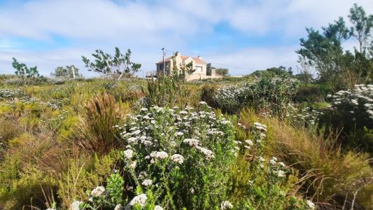 Bettys Bay, Western Cape, Sudáfrica