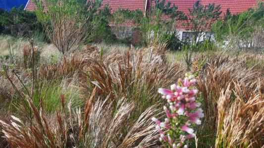 Bettys Bay, Western Cape, Sudáfrica