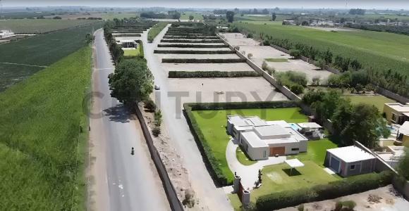 Condominio El Refugio , Chincha, Ica 00001, 秘魯