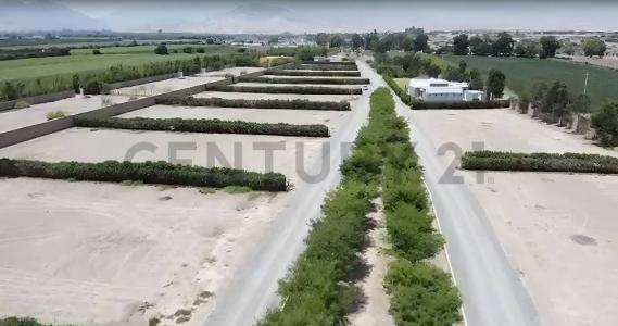 Condominio El Refugio , Chincha, Ica 00001, 秘魯