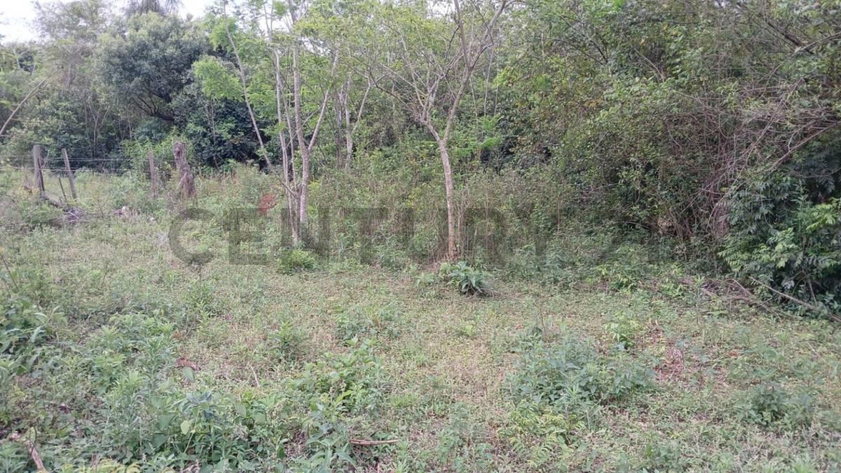 quinta monserrat , Itá, Central 00001, Paraguay