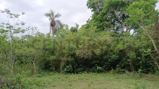 quinta monserrat , Itá, Central 00001, Paraguay