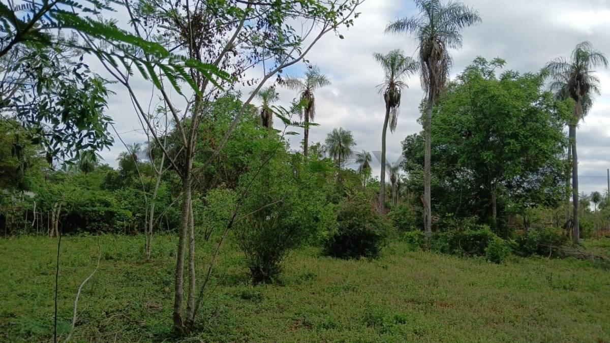 quinta monserrat , Itá, Central 00001, Paraguay