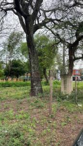 San Bernardino, Cordillera 1234, Paraguay