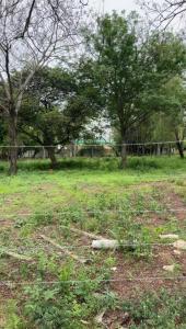 San Bernardino, Cordillera 1234, Paraguay