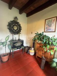 Vallarta ,, Coyoacán, Ciudad De México 04000, 墨西哥