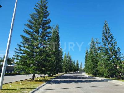 Bosque de Berau 128,, Villa De Álvarez, קולימה 28978, מקסיקו 