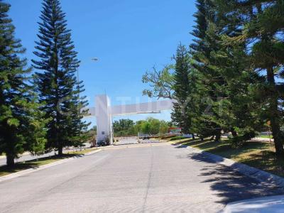 Bosque de Berau 128,, Villa De Álvarez, קולימה 28978, מקסיקו 