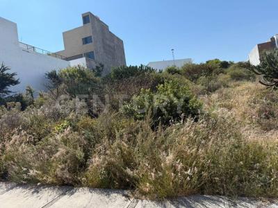 Condominio Ceiba 76,, El Marqués, 克雷塔羅 76269, 墨西哥