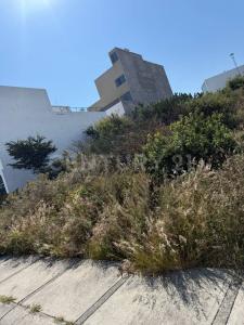 Condominio Ceiba 76,, El Marqués, Querétaro 76269, México