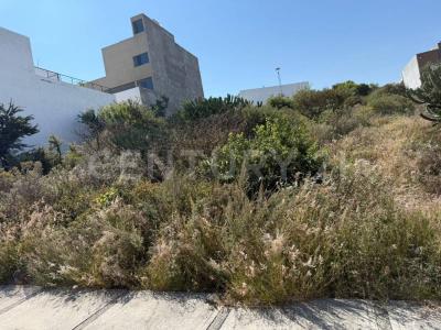 Condominio Ceiba 76,, El Marqués, Querétaro 76269, México