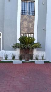 Cajeme, 索诺拉 85000, 墨西哥